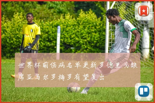 世界杯前伤病名单更新罗德里戈缺席亚马尔罗梅罗有望复出