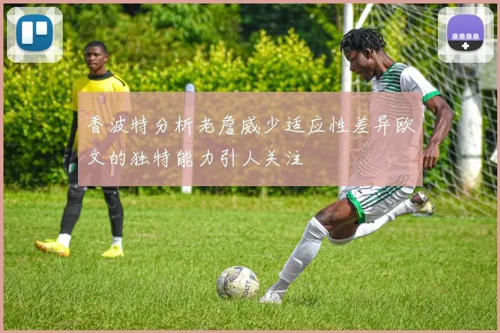 香波特分析老詹威少适应性差异欧文的独特能力引人关注