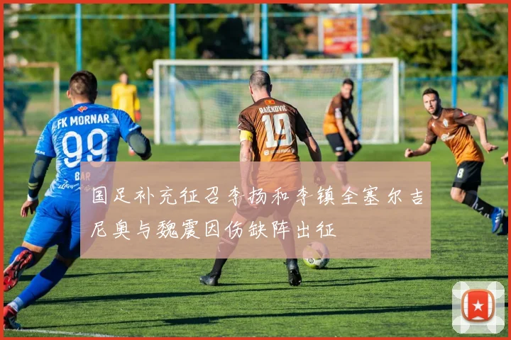 国足补充征召李扬和李镇全塞尔吉尼奥与魏震因伤缺阵出征